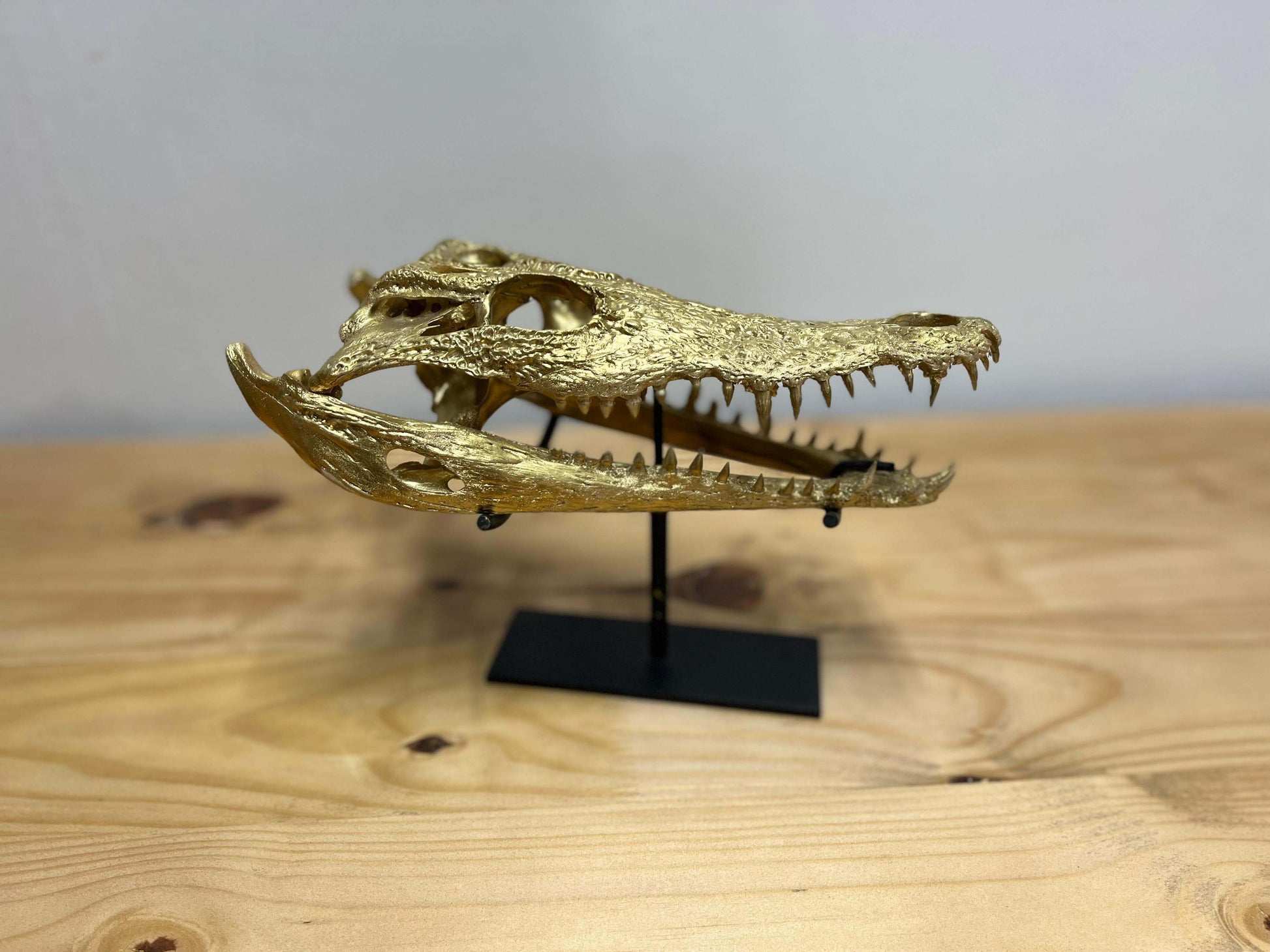 Crocodile Head Display - Gold with Stand