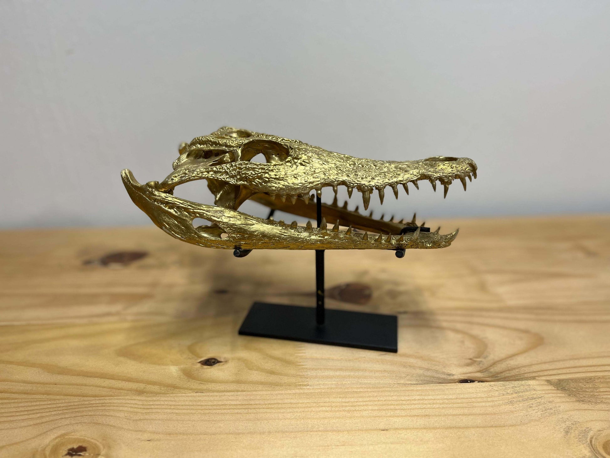 Crocodile Head Display - Gold with Stand (a)