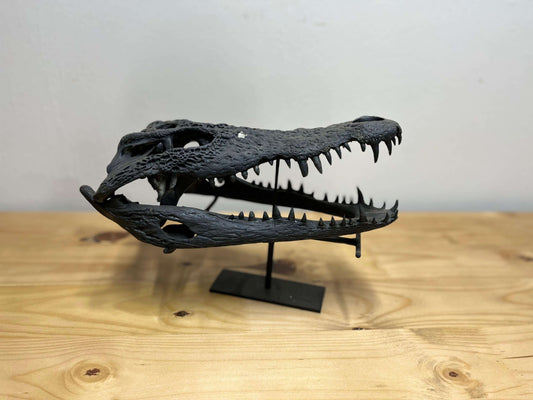 Crocodile Head Display - Matt Black with Stand